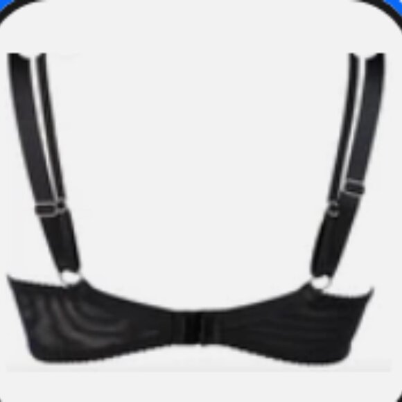 Axami V-10221 Brilliance Embroidery Balconette Bra Blue Shimmer, 34E, NWT - Picture 2 of 2